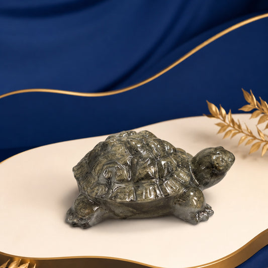 Pyrite Prosperity Tortoise “Kachhua” for Vaastu (Crystal Clear)