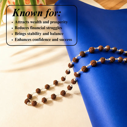 Silver Plated Asli Black Rudraksh Mala- (9-10mm)  Beads High Quality