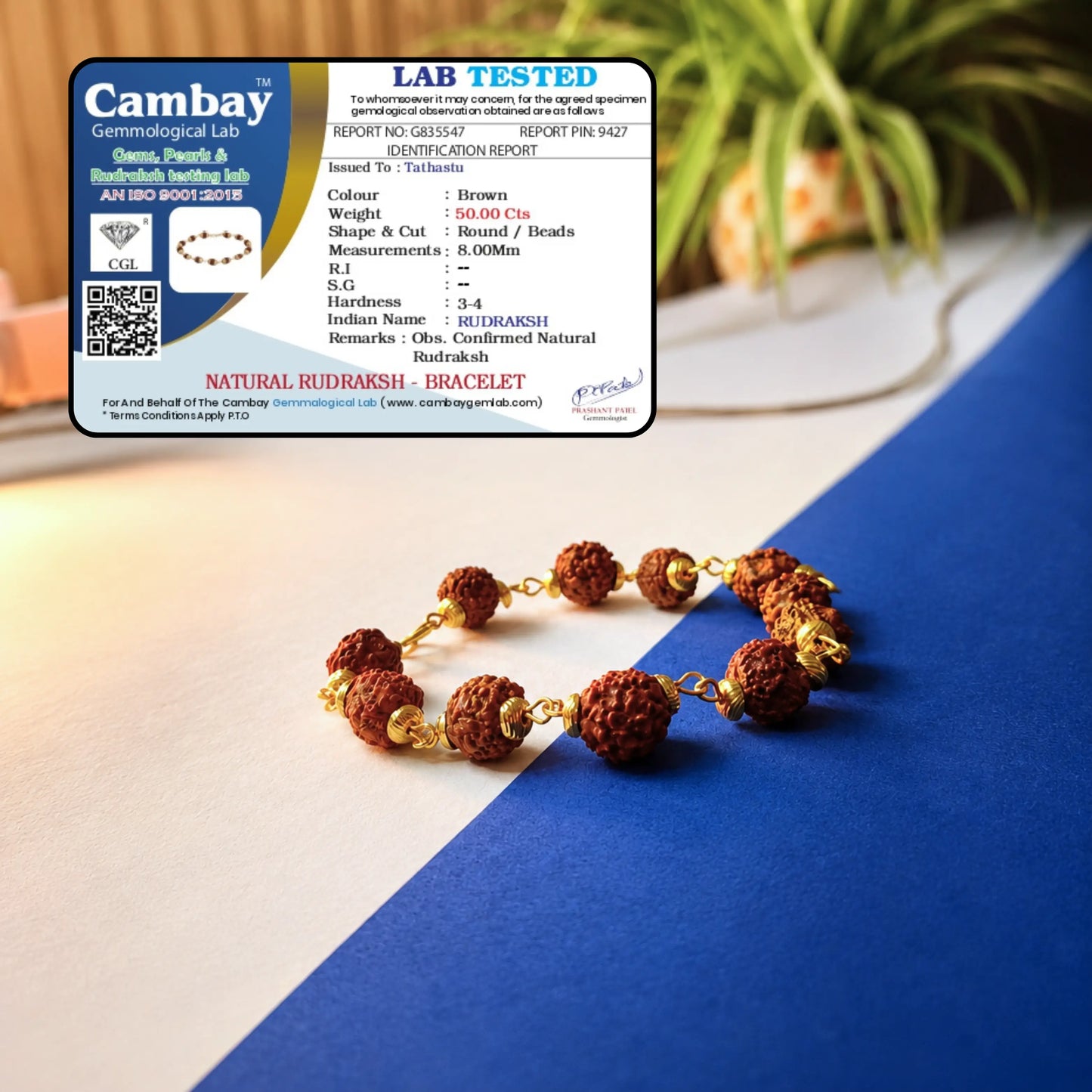 Gold plated Asli Rudraksh Bracelet- Tathastu hai to asli hai