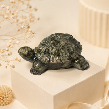 Pyrite Prosperity Tortoise “Kachhua” for Vaastu (Crystal Clear)