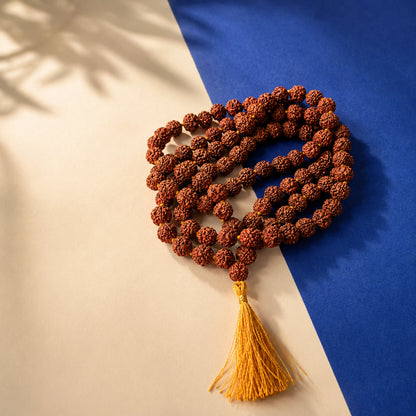 Brown Rudraksha Mala - 108+1 Beads