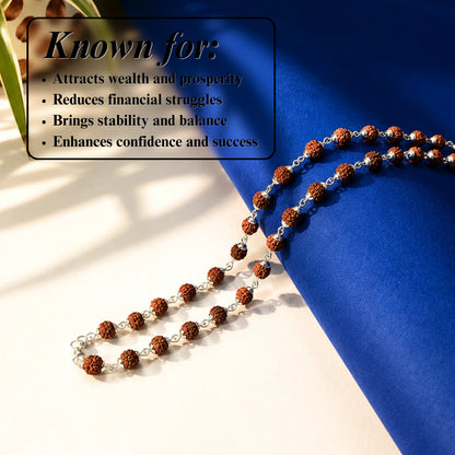 silver plated asli rudraksh mala- Tathastu hai to asli hai