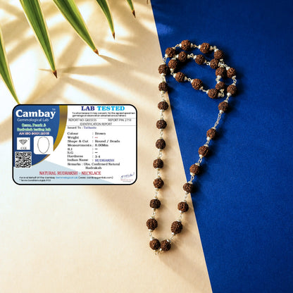 Silver Plated Asli Black Rudraksh Mala- (9-10mm)  Beads High Quality