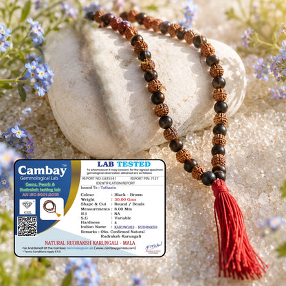 Divya Shaktam Rudraksha Karungali Mala - 108+1 Beads