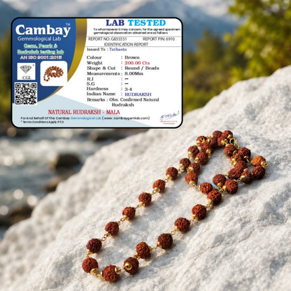 Gold plated Asli Rudraksh Mala - Tathastu hai to asli hai