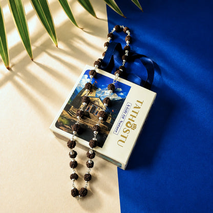 Silver Plated Asli Black Rudraksh Mala- (9-10mm)  Beads High Quality