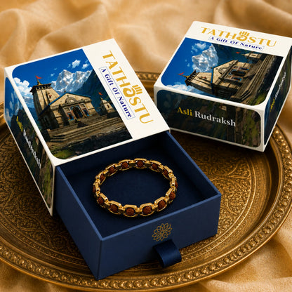 Gold Plated essential rudraksh bracelet- modern style