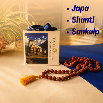 Brown Rudraksha Mala - 108+1 Beads