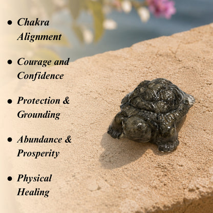Pyrite Prosperity Tortoise “Kachhua” for Vaastu (Crystal Clear)